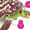 ⁦בנו בעצמכם! צב ים קרני! (Hawksbill Turtle)⁩ – תמונה ⁦3⁩