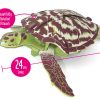 ⁦בנו בעצמכם! צב ים קרני! (Hawksbill Turtle)⁩ – תמונה ⁦4⁩