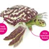 ⁦בנו בעצמכם! צב ים קרני! (Hawksbill Turtle)⁩ – תמונה ⁦5⁩