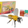 בנו בעצמכם! דבורת דבש! (HONEY BEE)