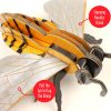⁦בנו בעצמכם! דבורת דבש! (HONEY BEE)⁩ – תמונה ⁦3⁩