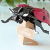 ⁦בנו בעצמכם! פרת משה רבנו! (LADYBIRD)⁩ – תמונה ⁦2⁩