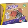 ⁦בנו בעצמכם! פרת משה רבנו! (LADYBIRD)⁩ – תמונה ⁦3⁩