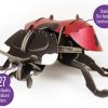 ⁦בנו בעצמכם! פרת משה רבנו! (LADYBIRD)⁩ – תמונה ⁦4⁩