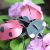 ⁦בנו בעצמכם! פרת משה רבנו! (LADYBIRD)⁩ – תמונה ⁦9⁩