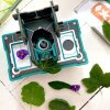 ⁦בנו בעצמכם! מיקרוסקופ (MICROSCOPE)⁩ – תמונה ⁦7⁩