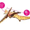 ⁦בנו בעצמכם! פטרנודון! (Pteranodon)⁩ – תמונה ⁦4⁩