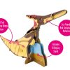 ⁦בנו בעצמכם! פטרנודון! (Pteranodon)⁩ – תמונה ⁦5⁩