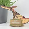 ⁦בנו בעצמכם! פטרנודון! (Pteranodon)⁩ – תמונה ⁦6⁩