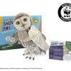 בנו בעצמכם! ינשוף שלג! (SNOWY OWL)