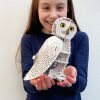⁦בנו בעצמכם! ינשוף שלג! (SNOWY OWL)⁩ – תמונה ⁦6⁩