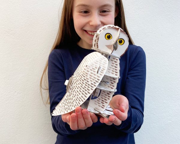 ⁦בנו בעצמכם! ינשוף שלג! (SNOWY OWL)⁩ – תמונה ⁦6⁩