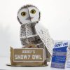 ⁦בנו בעצמכם! ינשוף שלג! (SNOWY OWL)⁩ – תמונה ⁦7⁩