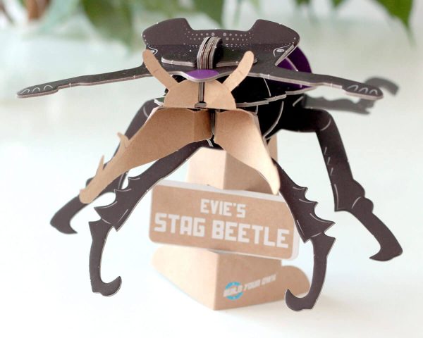 ⁦בנו בעצמכם! חיפושית אייל! (STAG BEETLE)⁩ – תמונה ⁦2⁩