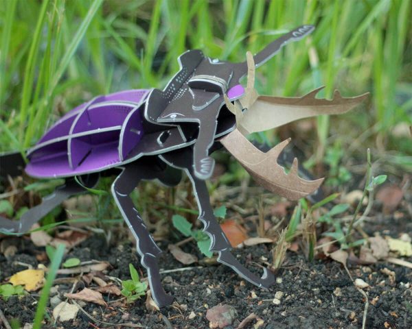 ⁦בנו בעצמכם! חיפושית אייל! (STAG BEETLE)⁩ – תמונה ⁦9⁩