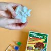 ⁦ערכת יצירה בגבס 3D - דינוזאור טריצרטופס⁩ – תמונה ⁦2⁩